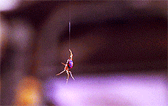 Spiderman GIF. Spiderman Films en series Gifs Reactie Verbazingwekkend 