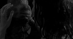 Spiderman GIF. Spiderman Films en series Gifs Hoog Colorado Verkiezingen Naar huis gaan spiderman Je hoog zijn 