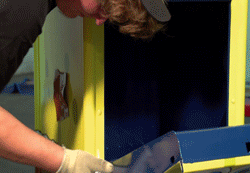 Spongebob GIF. Spongebob Films en series Gifs Spongebob squarepants Octo Octo tentakel 