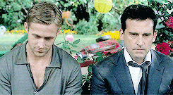 Steve Carell GIF. Verward Gifs Filmsterren Steve carell Wtf Grootouders 