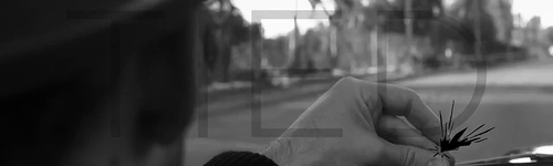 Films en series Gifs Suits geen donna paulsen bondedtogether 