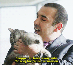 Suits GIF. Films en series Gifs Suits Usa network 