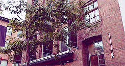 Suits GIF. Films en series Gifs Suits 