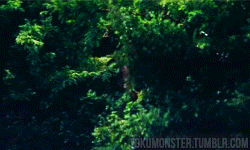 Suits GIF. Films en series Gifs Suits Usa network 