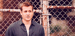 Suits GIF. Films en series Gifs Suits Donna paulsen 