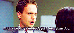 Suits GIF. Films en series Gifs Suits Usa network 