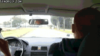 Artiesten Films en series Gifs Bob marley Suits 