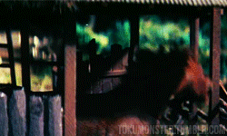 Suits GIF. Films en series Gifs Suits Usa network 
