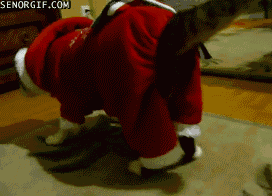 Suits GIF. Films en series Gifs Suits Past usa 