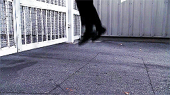Suits GIF. Films en series Gifs Suits Usa network 