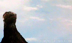Suits GIF. Films en series Gifs Suits Meghan markle 