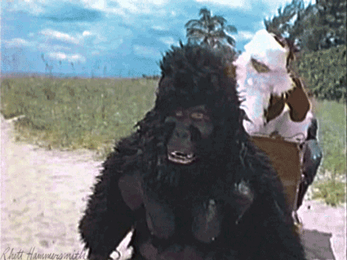 Films en series Gifs Suits USA Network 