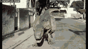 Televisie Films en series Gifs Suits 4 