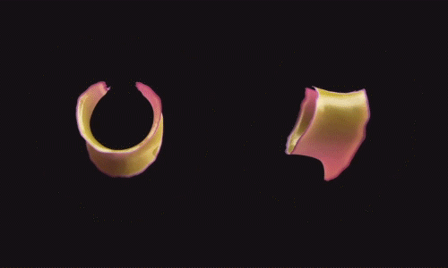 Films en series Gifs Suits USA Network 