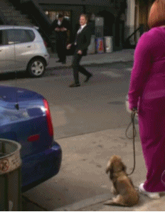 Suits GIF. Bioscoop Films en series Gifs Suits 