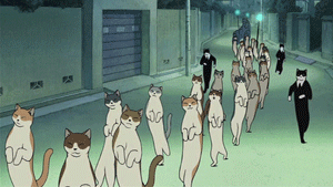 Suits GIF. Films en series Gifs Suits 