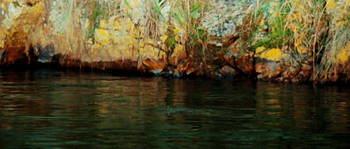Taylor Kitsch GIF. Gifs Filmsterren Taylor kitsch 