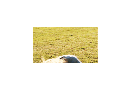 Artiesten Taylor Swift Gifs 
