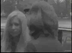 The Beatles GIF. Artiesten The beatles Gifs 