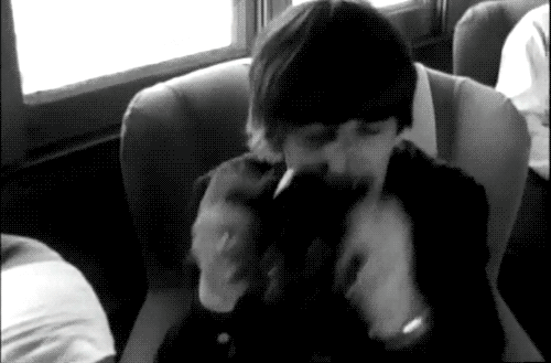 Artiesten The beatles Gifs George Harrison 