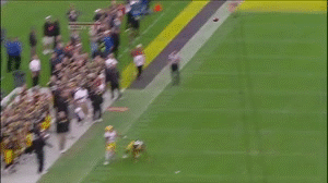Tijger GIF. Dieren Schattig Tijger Gifs Welp Vlijen 
