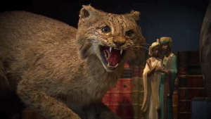 Tijger GIF. Dieren Tijger Gifs Grommen Welp 