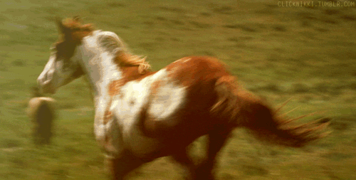 Dieren gebit Tijger Gifs gebrul giftanden 