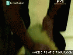 Tijger GIF. Dieren Tijgers Tijger Gifs 