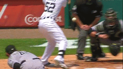 Tijger GIF. Dieren Tijger Gifs Doen 