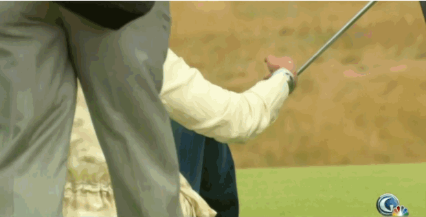 Dieren Tijger Gifs 