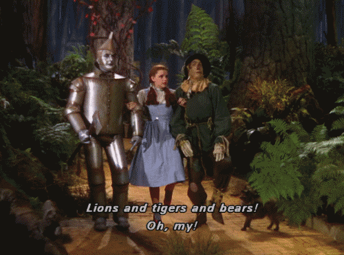 Dieren Tijger Gifs poot welp kauwen 