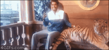 Dieren Tijger Gifs 