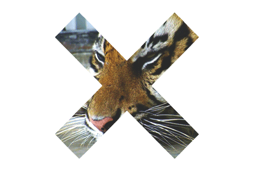 Dieren Tijger Gifs 