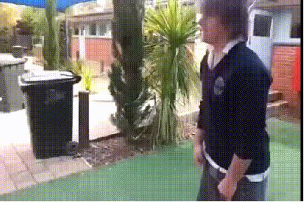 Dieren Zwemmen Tijger Gifs onderwater 