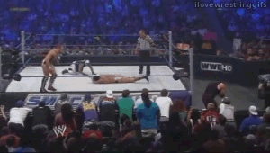Tijger GIF. Dieren Bang Film Tijger Gifs Geschokt Lopend 