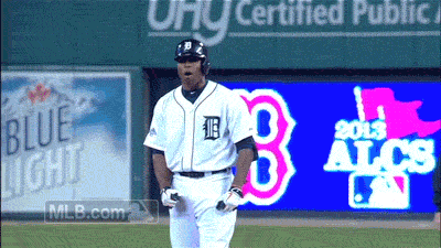 Dieren Tijger Gifs 