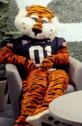 Tijger GIF. Dieren Spelen Tijger Gifs Hond 