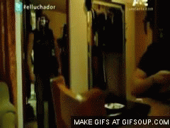 Tijger GIF. Dieren Tijger Gifs Doen 
