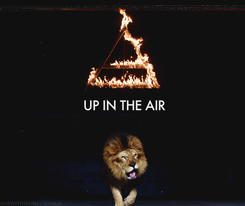 Dieren Tijger Gifs pandasproblems 