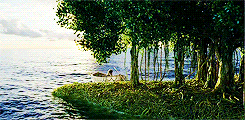 Tijger GIF. Dieren Kat Tijger Gifs Knipperen Chilling 