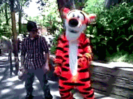 Tijger GIF. Dieren Kat Tijger Gifs Gebrul 