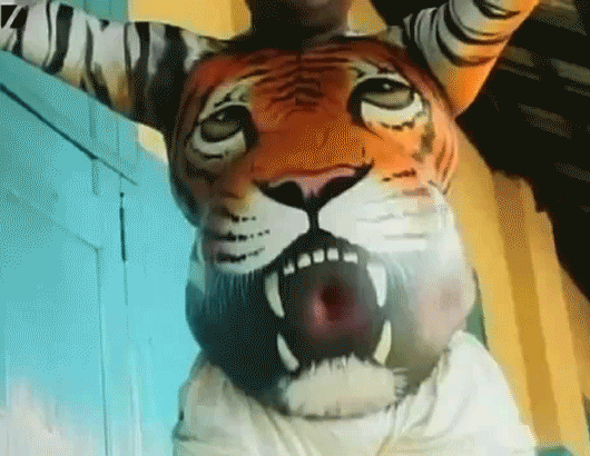 Dieren Water Ogen Tijger Boot Gifs 