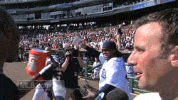 Tijger GIF. Dieren Tijgers Tijger Gifs 