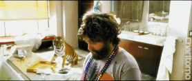 Tijger GIF. Dieren Bang Film Tijger Gifs Geschokt Lopend 