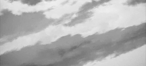 Dieren Ogen Tijger Gifs opgewonden gebrul grommen kooi 