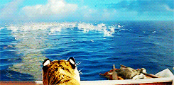 Honden GIF. Dieren Spelen Tijger Gifs Hond Bijtend Niet+onder+de+indruk 