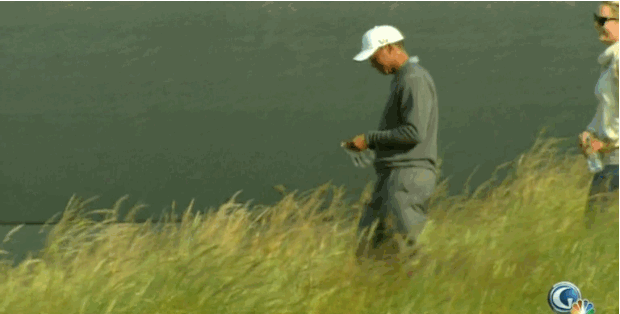Dieren Grappig Tijger Gifs likken het+liggen 
