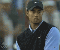 Tijger GIF. Dieren Tijger Gifs 
