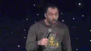 Tijger GIF. Dieren Tijger Gifs Hond 