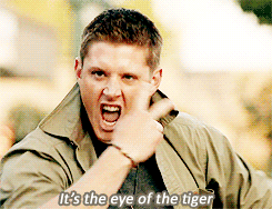 Tijger GIF. Dieren Natuur Tijger Gifs Dier Dieren+in+het+wild 